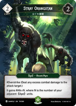 Stray Orangutan