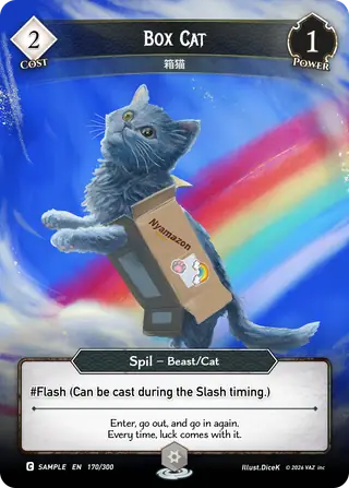 Box Cat
